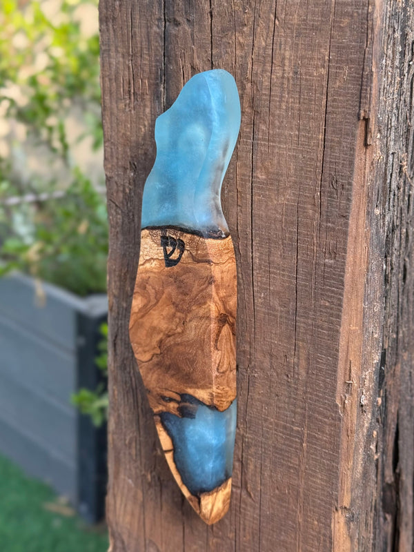 Israel Shaped Mezuzah Case