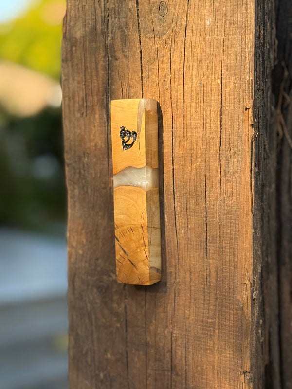 Special Mezuzah Case