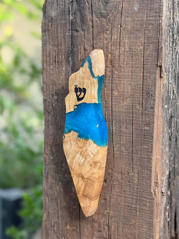 Israel Shaped Mezuzah Case