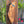 Israel Shaped Mezuzah Case