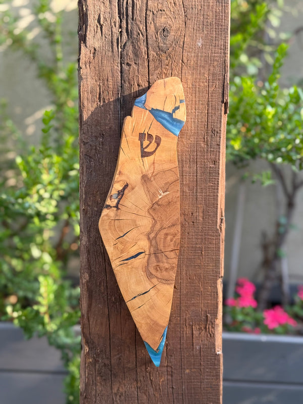 Israel Shaped Mezuzah Case