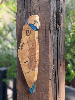 Israel Shaped Mezuzah Case