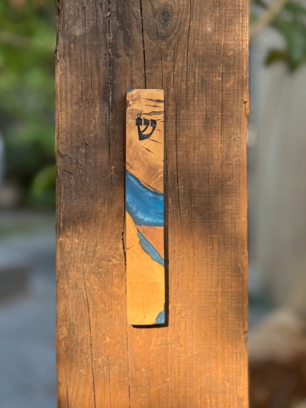 Special Mezuzah Case