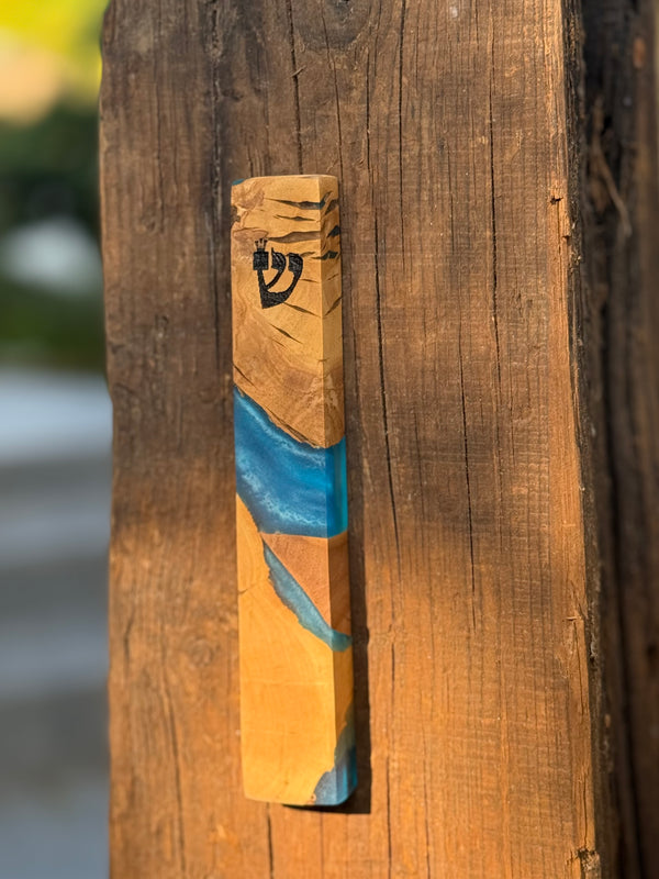 Special Mezuzah Case