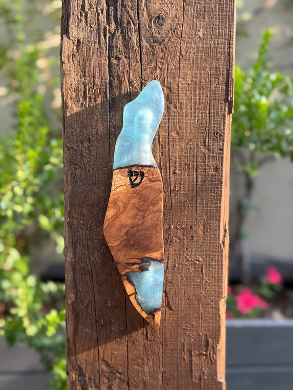 Israel Shaped Mezuzah Case