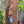 Israel Shaped Mezuzah Case