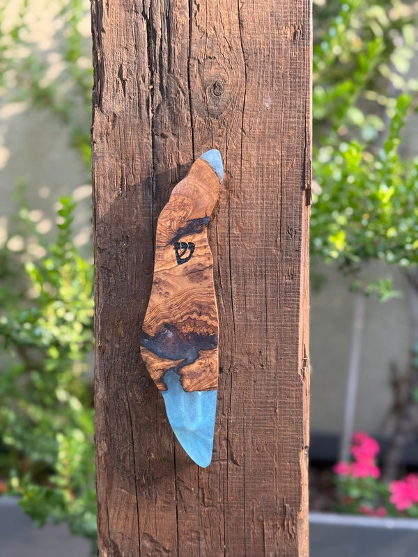 Israel Shaped Mezuzah Case